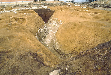 �����̖x��