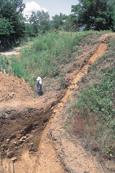 ��̊s�쑤�x�̏�