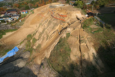 �����n�S�i