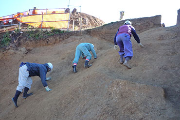 ��̊s�쐼�̖x