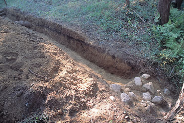 ���@�Ŋm�F���ꂽ�����̍���