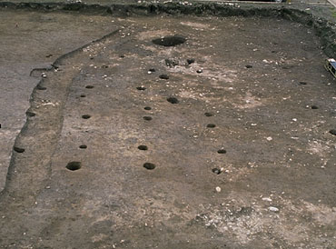 �@����������