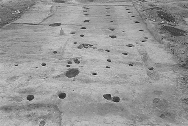 �@����������