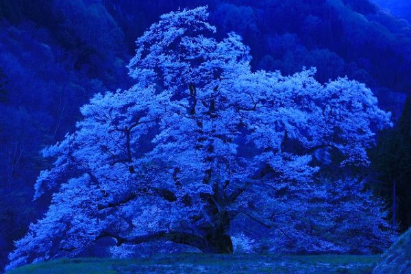 飯田史朗、【御水取り】、希少な額装用画集より、新品額装付、状態良好 飯田市美術博物館